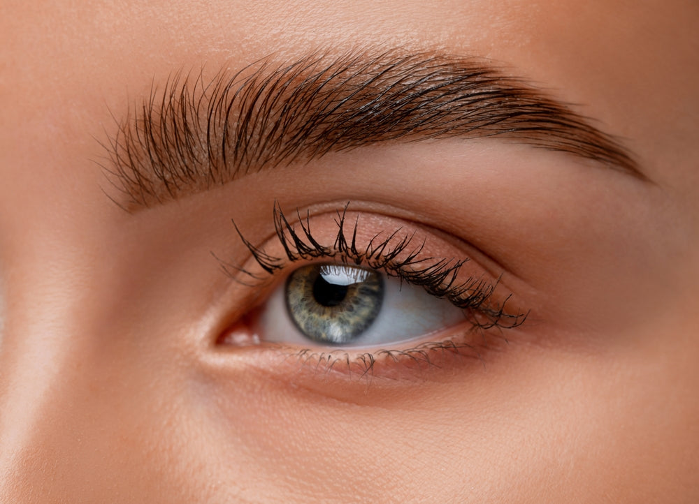 brow_laination_glamjunkies.jpg