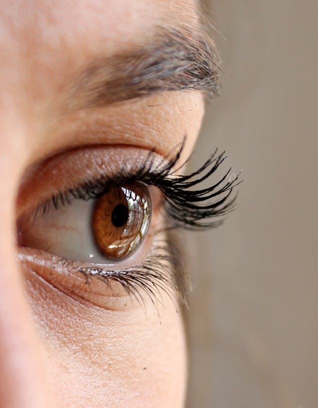 one_by_one_lashes_wimpers